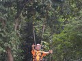 Tn DSC 4336